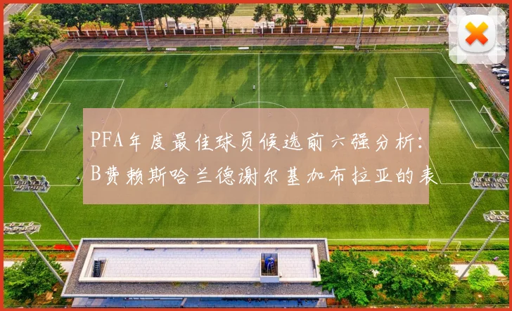 PFA年度最佳球员候选前六强分析：B费赖斯哈兰德谢尔基加布拉亚的表现对比