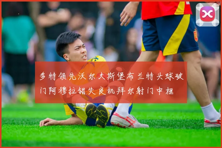 多特领先沃尔夫斯堡布兰特头球破门阿穆拉错失良机拜尔射门中框